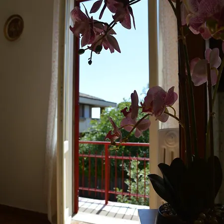 Jasmimdobrasil Appartement Manziana